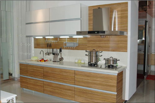 丽维丝橱柜五金 优质产品与专业店铺装修一站式解决方案